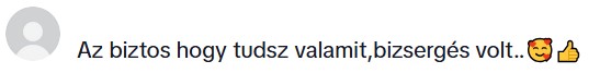 Visszajelzés egy TikTok-videó alatt, ahol sokan bizsergést és gyógyító energiát éreztek Edina festményén keresztül.